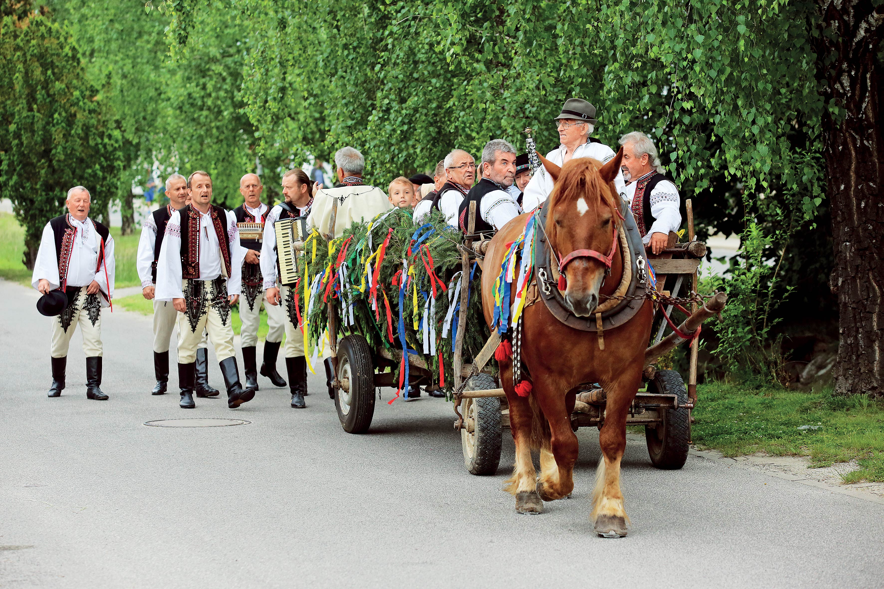 In the Footsteps of Slovak Traditions