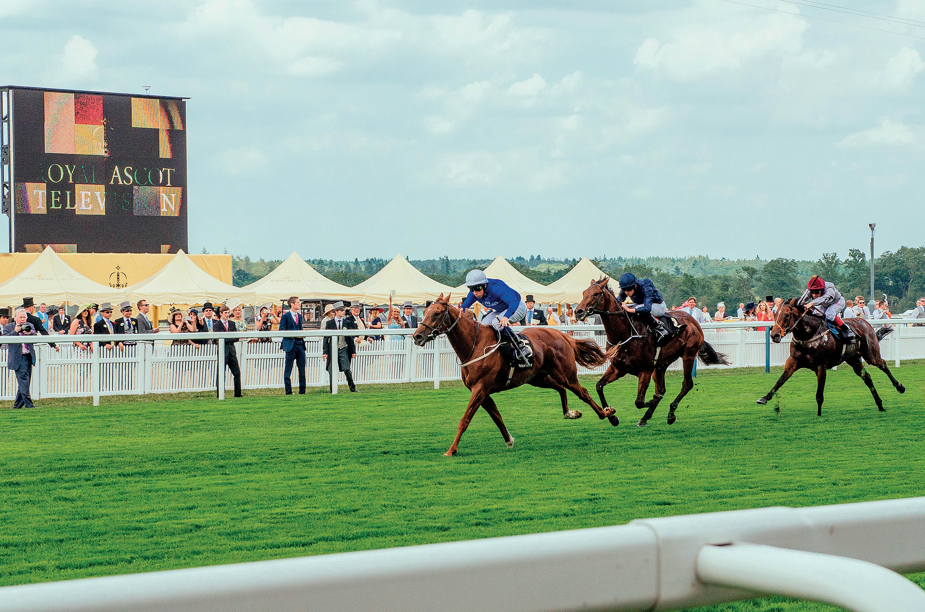 Horse racing – a world of luxury and nobility